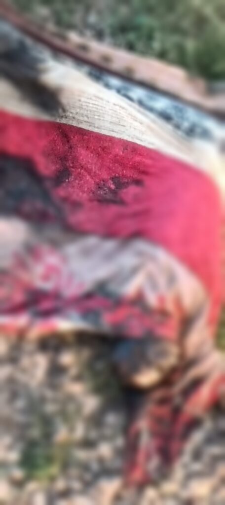 Police Investigation : क्या खंभा गिनकर तय हुई थाना सीमा ? अरपा पुल के नीचे मिला सड़ा-गला शव, नहीं हो पाई पहचान, बॉडी के कुछ हिस्से गायब ?